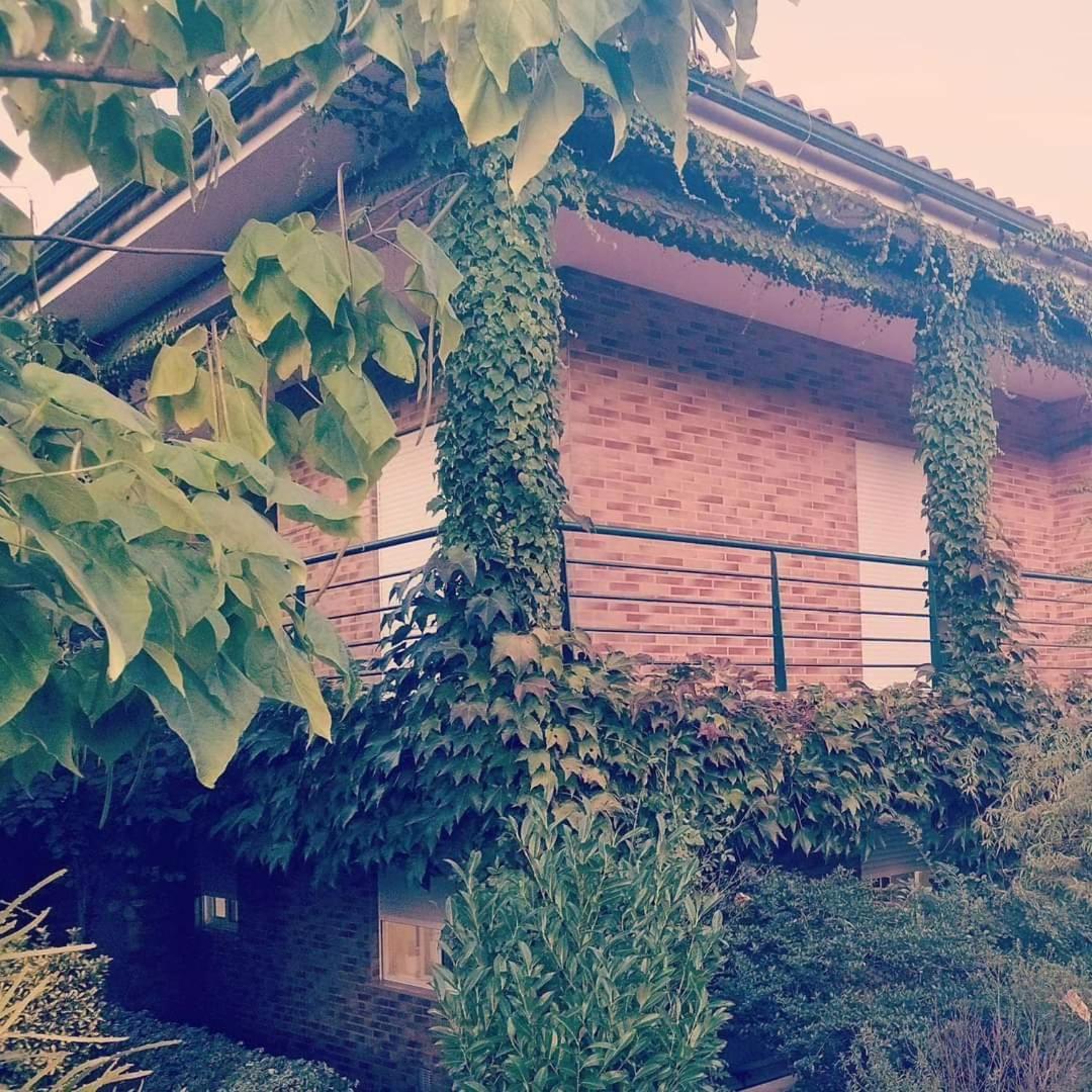 Casa Campo Ao Rio_Village Barcelos Esterno foto